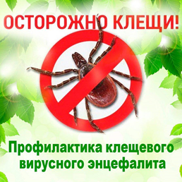 Клещевой энцефалит.